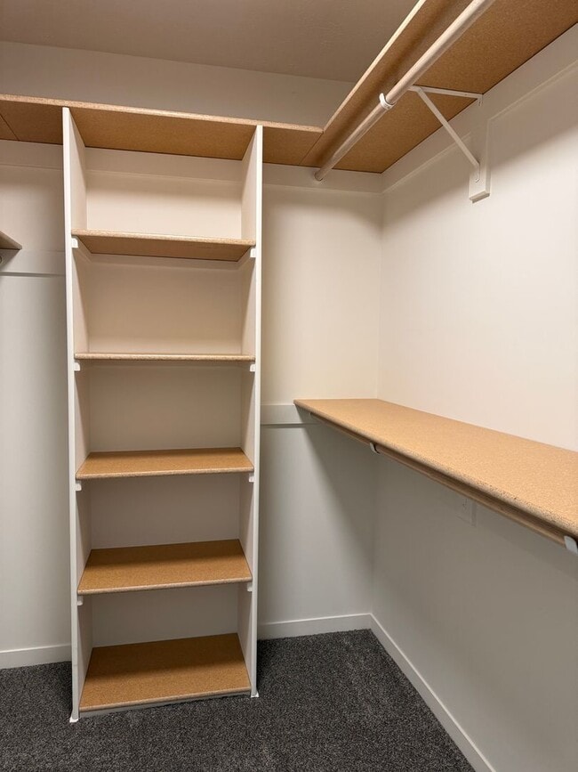 Building Photo - Brand New Spacious 2-Story with 3 bedrooms/2.5 bathrooms in Waverly