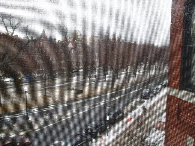 Building Photo - 342 Commonwealth Ave