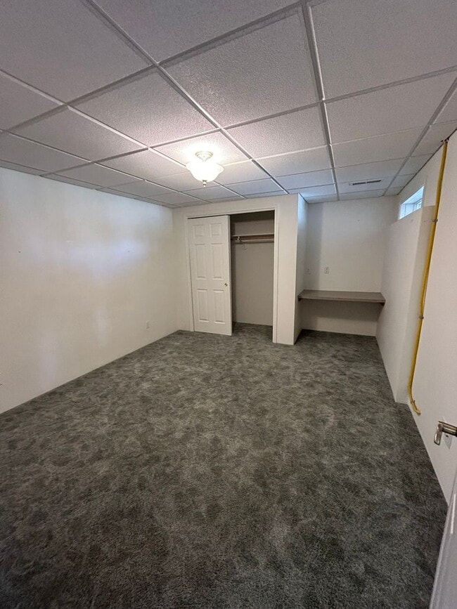 Building Photo - Spacious Daylight Apartment in Hamilton