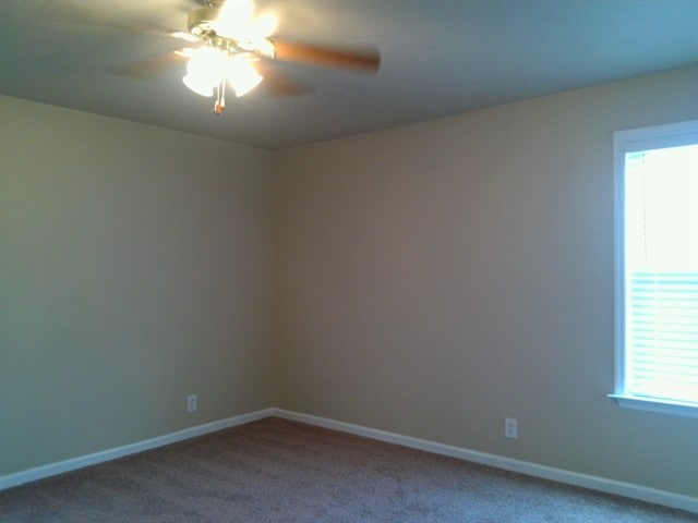 Building Photo - 212 Wildgrove Ct