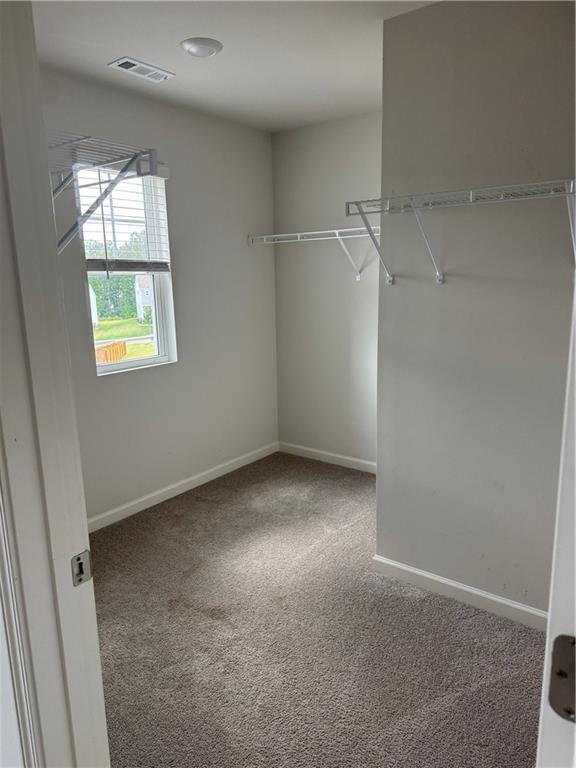 Building Photo - 148 Silver Beech Ln