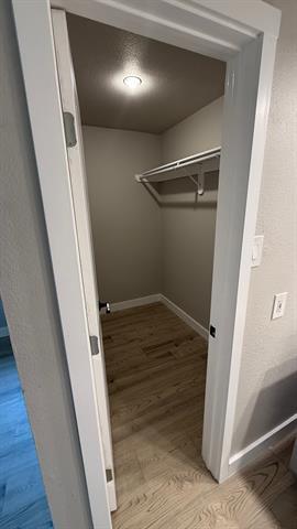 Building Photo - 111 Iberis Ct