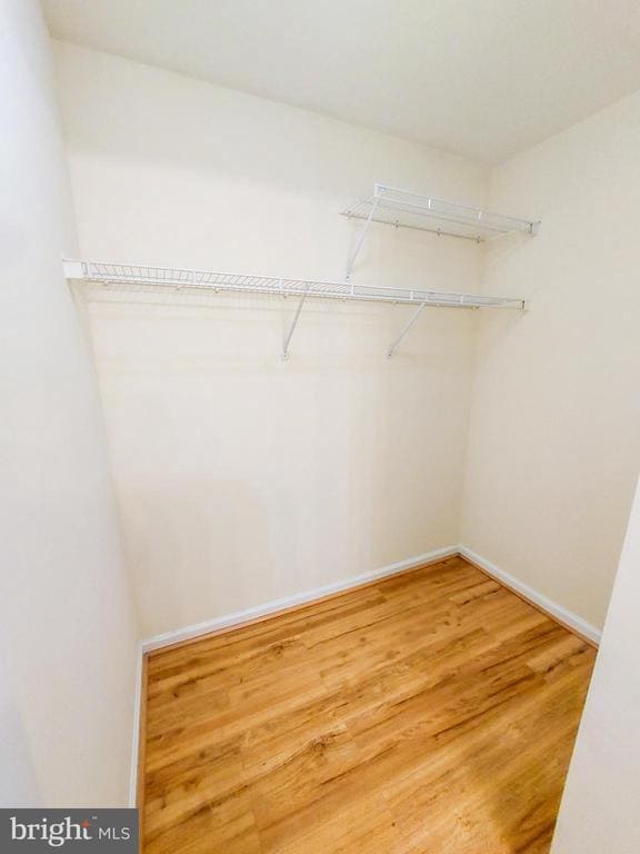 Building Photo - 13654 Palmetto Cir