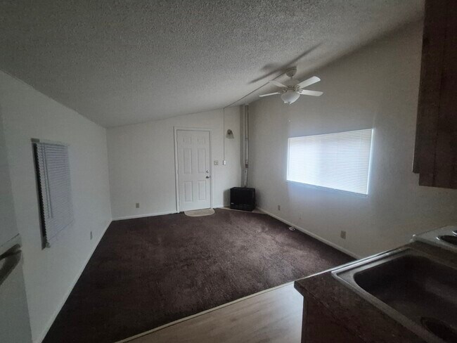 Building Photo - 828 1/2 E Cache La Poudre St