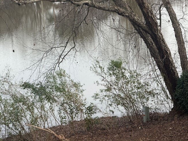 Building Photo - Beautiful Condo minutes from uptown Charlotte