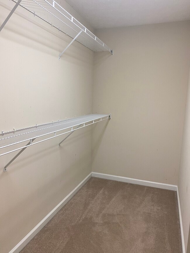 Building Photo - 8206 Gamblers Choice Trl