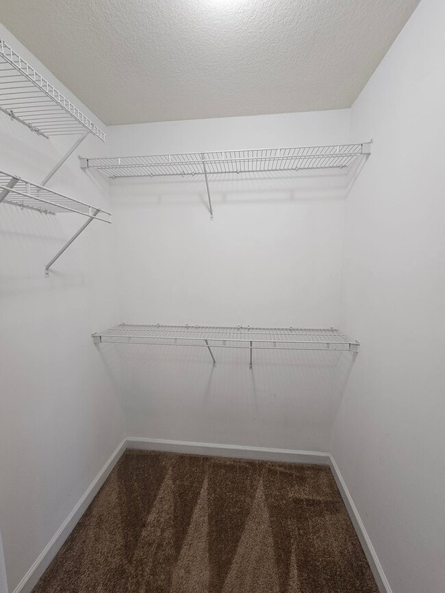 Building Photo - Gorgeous & Spacious 4 Bedroom In Carolina Forest