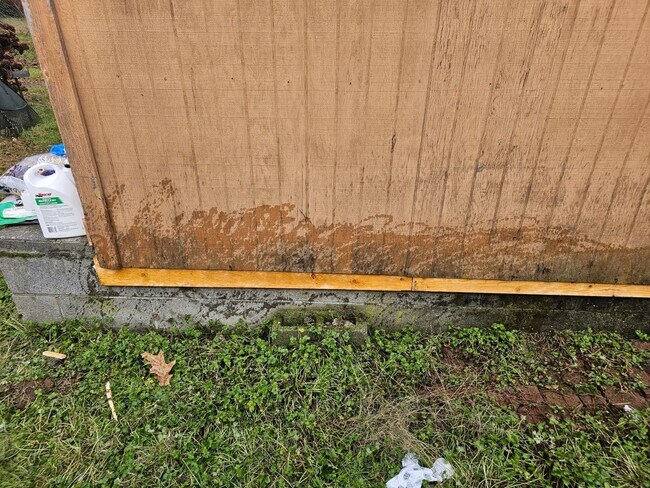 Building Photo - House -- Ravenna