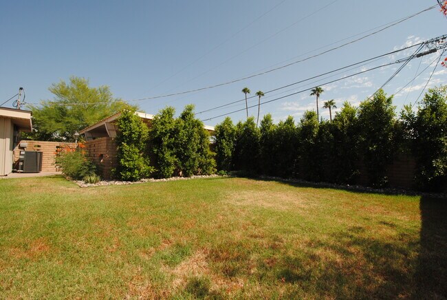 large backyard - 3703 E Montecito Ave