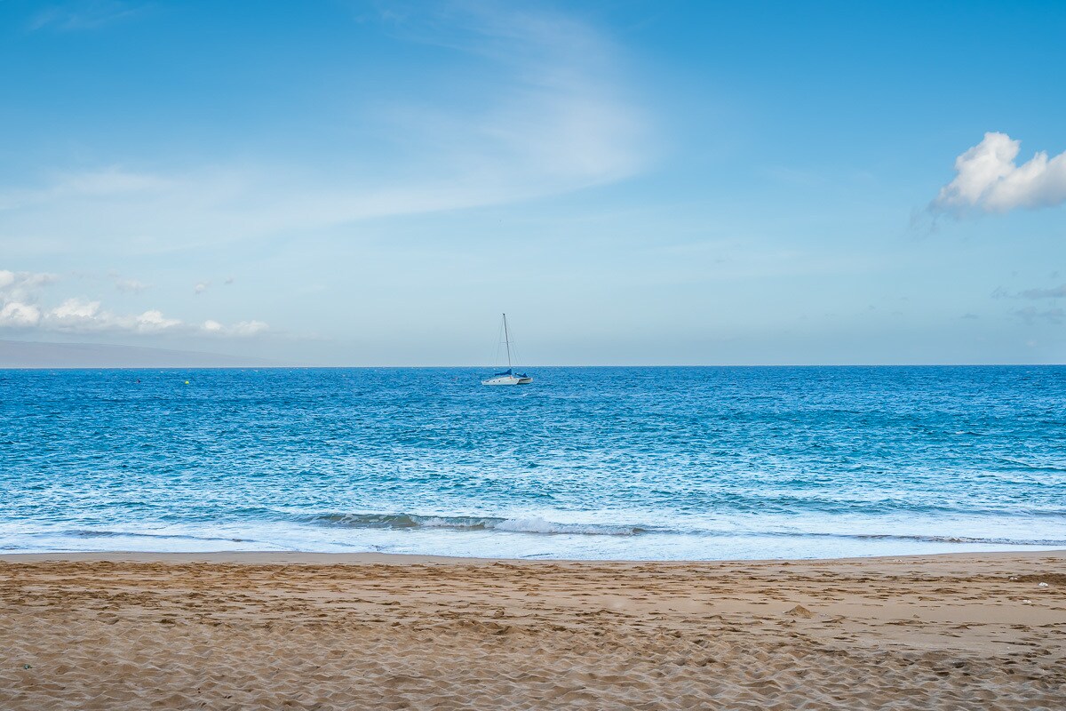 Building Photo - 50 Puu Anoano St