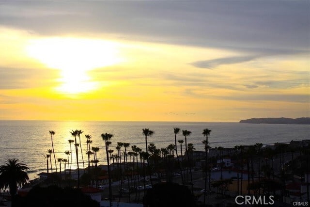 Building Photo - 1541 Buena Vista