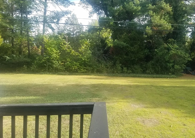 Building Photo - Spacious 3 Bedroom Home