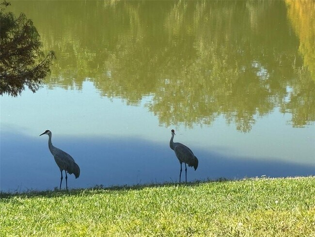 Building Photo - 708 Legacy Park Dr