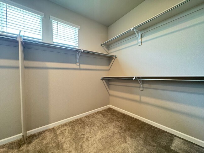 Building Photo - Beautiful Newer Home in Timnath