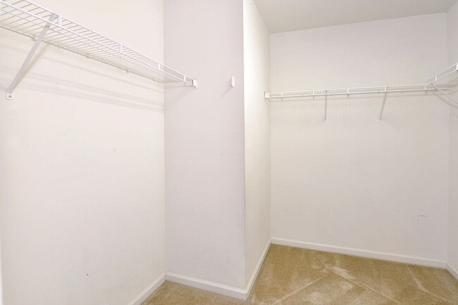 Building Photo - Spacious Home in York County