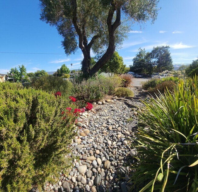 Building Photo - 297 Cerro Romauldo Ave