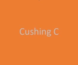 Building Photo - 3631 Cushing Dr