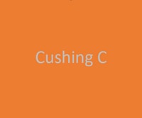 Building Photo - 3631 Cushing Dr