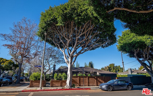 Building Photo - 2441 14th St