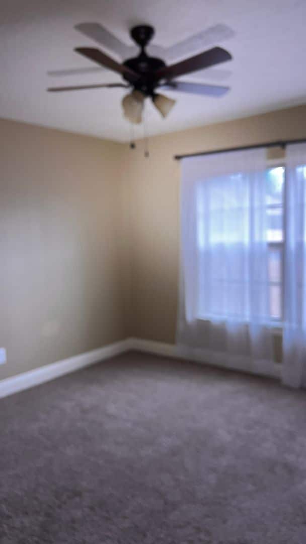 Building Photo - 317 Barbara Dr