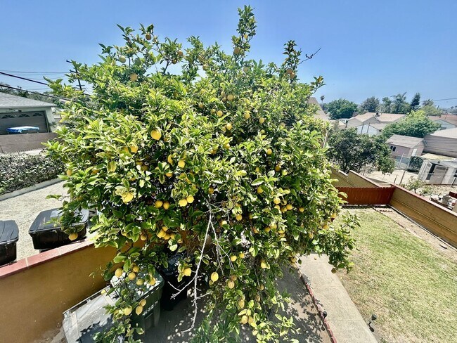 Building Photo - Charming 3 Bed 1 Bath For Rent *$400.00 Of...