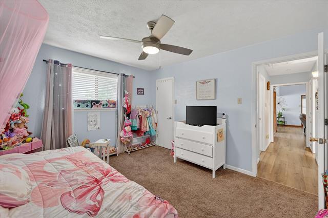 Building Photo - 3921 Timberidge Dr