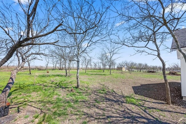Building Photo - 260 Amaranta Ln