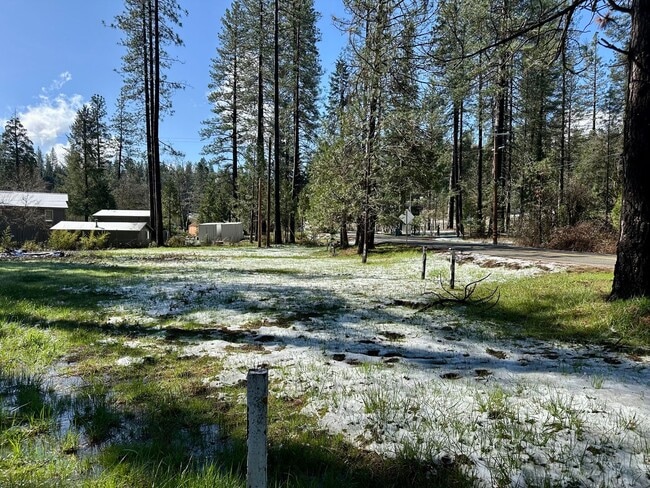 Building Photo - Wooded 2 bedroom cabin in nice neighborhood