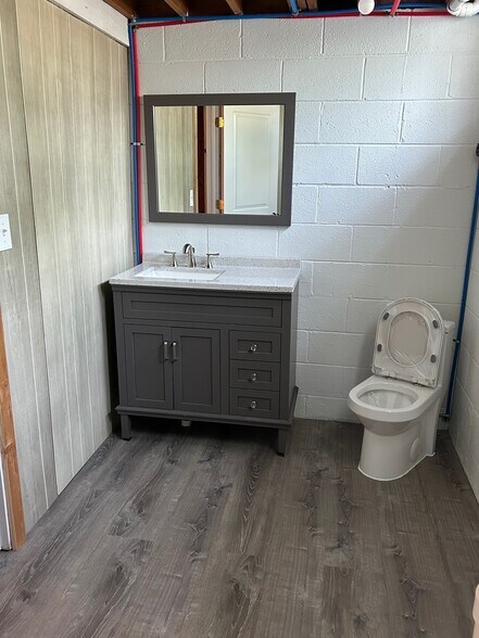 Basement Bathroom - 2558 Avonhurst Dr