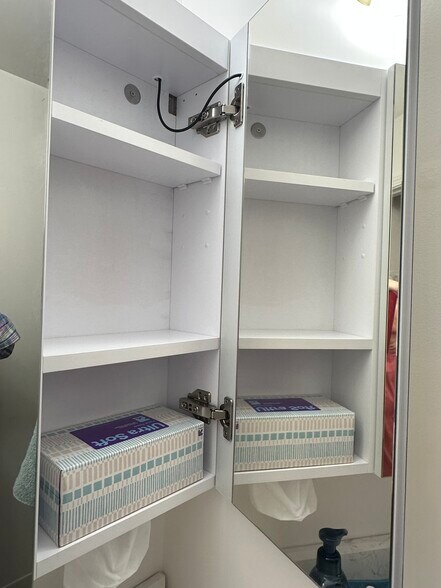 Medicine cabinet tissue box - 174 Hemingway Ct
