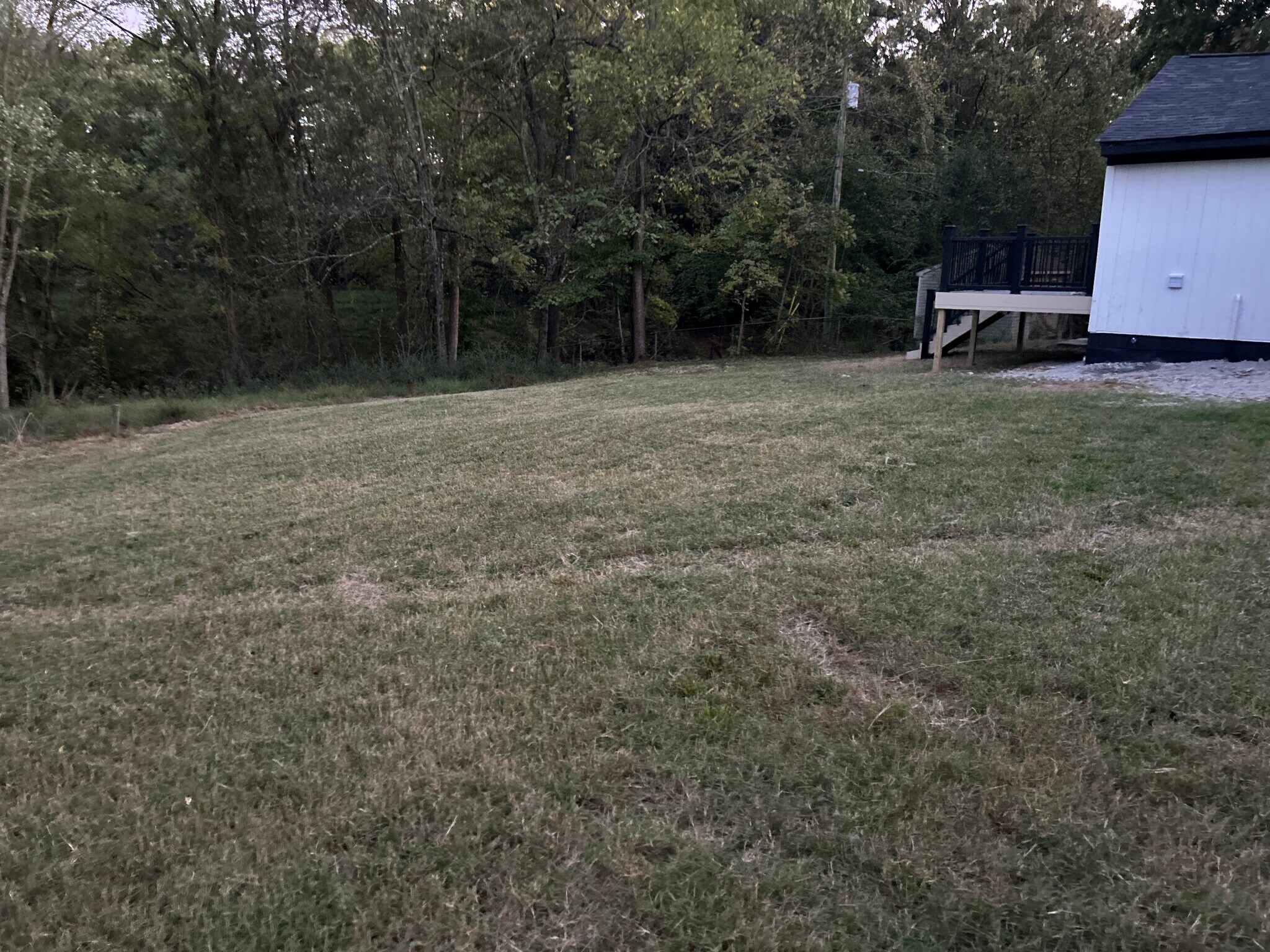 Backyard 4 - 421 High Point Rd