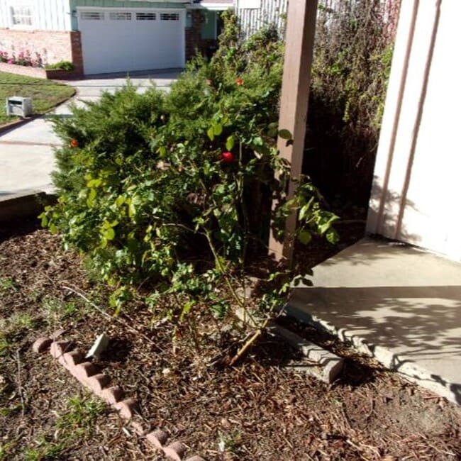 Building Photo - Spacious Private Home with Pool on Nearly Half an Acre