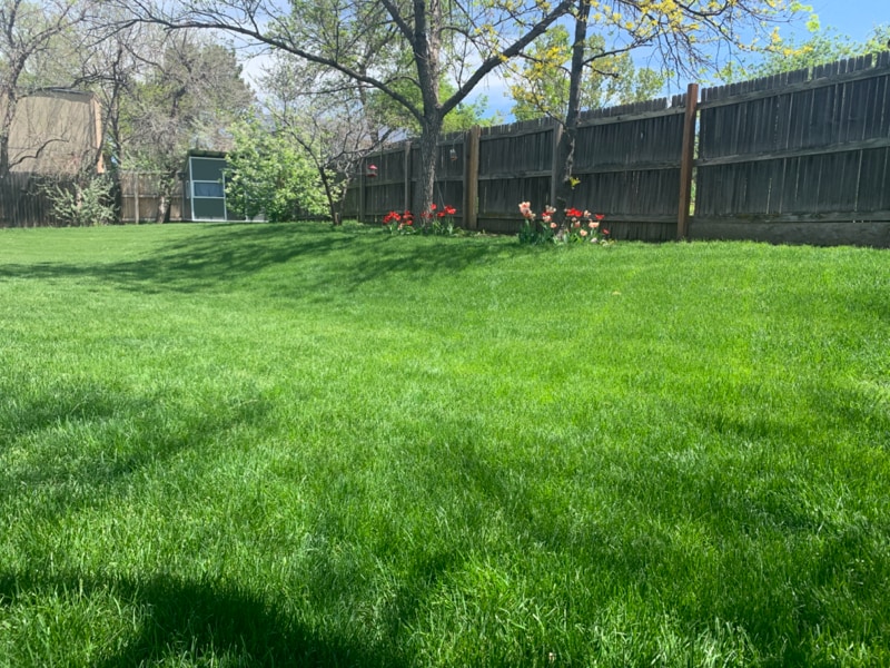 Building Photo - 13542 Hazel Pl