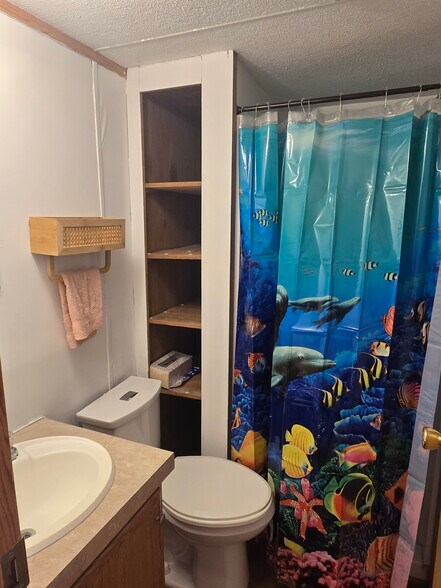 Hall bath - 7275 Old Madisonville Rd