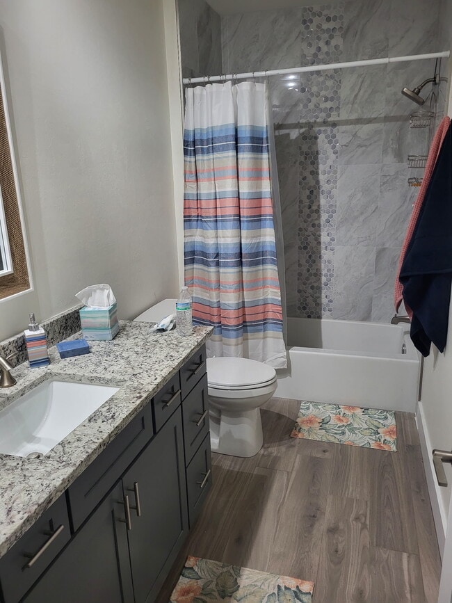 Master bathroom - 10925 Red Dragon Ln