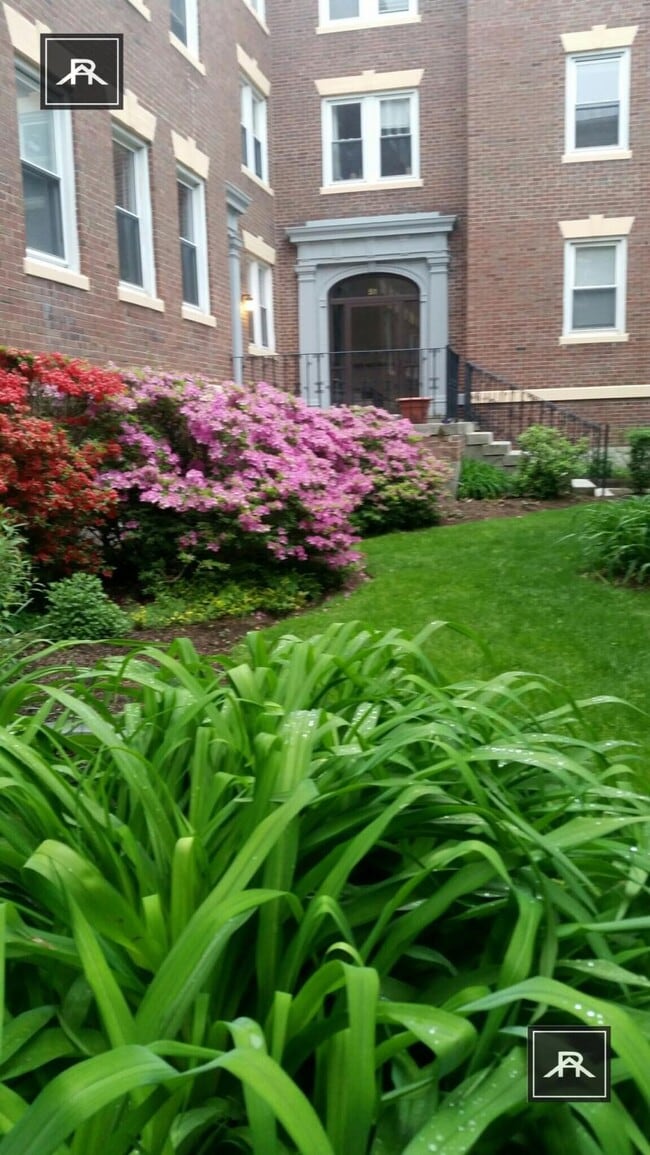 Building Photo - 2 bedroom in Brookline MA 02446