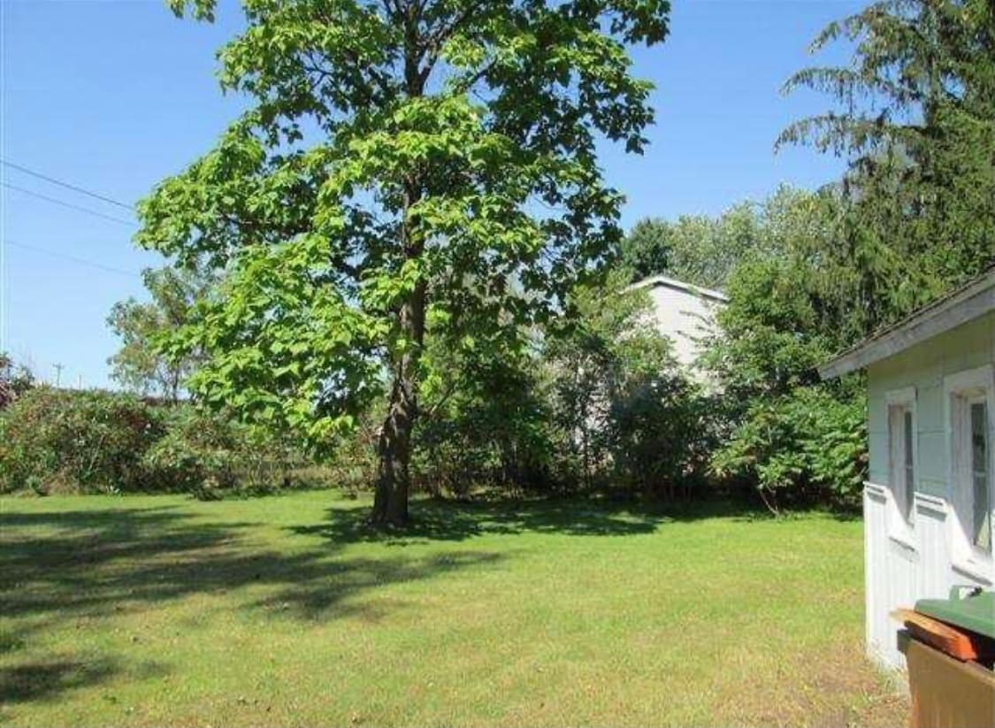 Back yard - 802 Bliss Ave