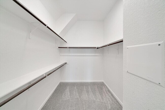 Building Photo - 147 Cibolo Crk Lp