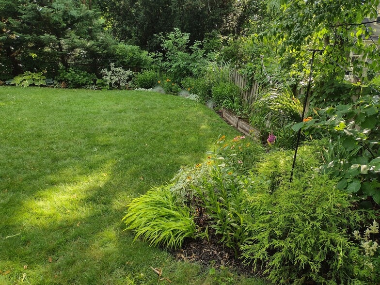 Backyard - 38 Melville Ave