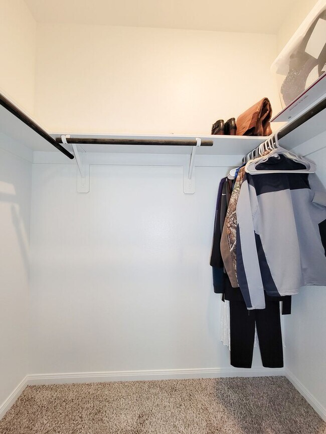 Building Photo - A true gem on a quiet corner lot, this spacious and sun-filled home is tucked away from street no...