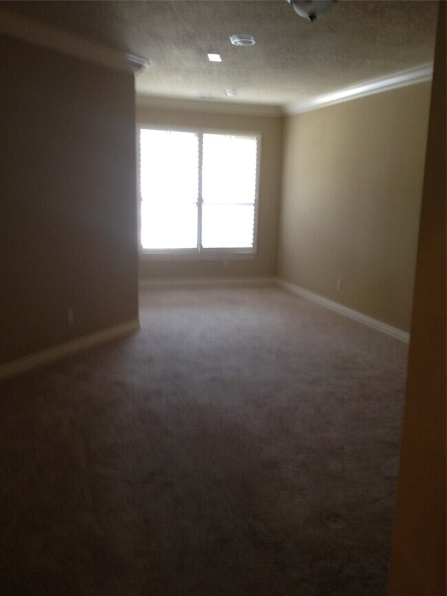 Building Photo - 2038 Palm Forest Ln