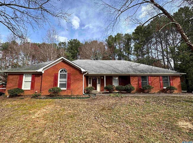 Building Photo - 109 Capote Dr