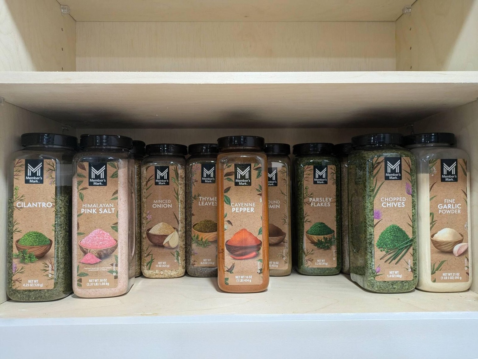 Building Photo - 122 Malone Dr