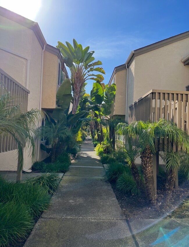 Building Photo - 3056 Via Alicante Via