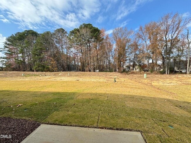 Building Photo - 419 Belgian Red Wy