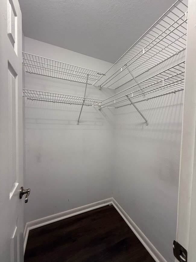 Building Photo - 4217 Avanti Cir