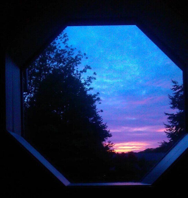 Building Photo - 14 Wellstone Dr