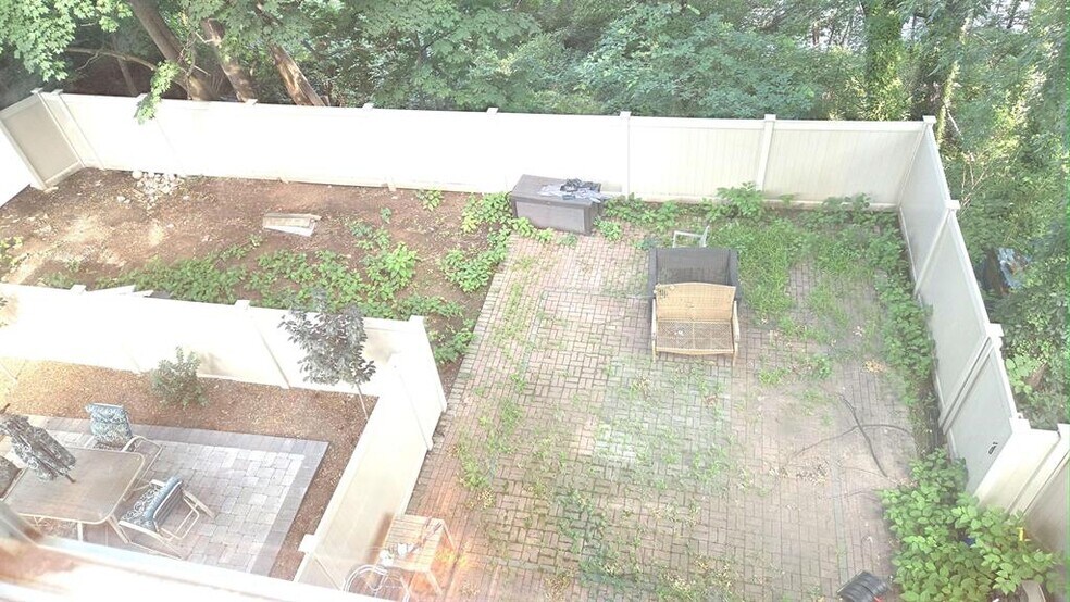 Backyard - 189 Terrace Ave