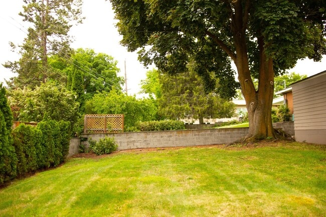 Building Photo - Beautiful Home Near Franklin Park