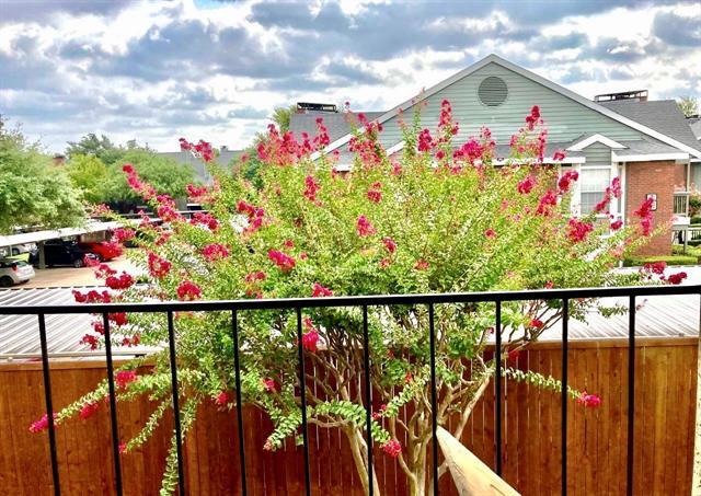 Building Photo - 4748 Old Bent Tree Ln